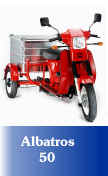 Albatros50
